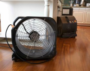 water restoration fans and humidifier