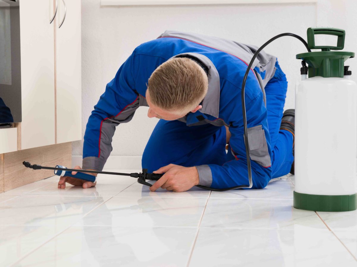 Pest Control pic with Male Worker Kneeling On Floor And Spraying Pesticide On Wooden Cabinet
