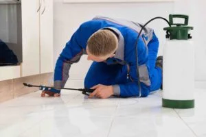 Pest Control pic with Male Worker Kneeling On Floor And Spraying Pesticide On Wooden Cabinet