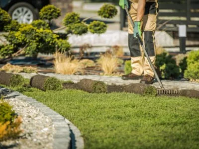 Male Landscaping Worker Raking Soil And Laying Rolls Of Sod.