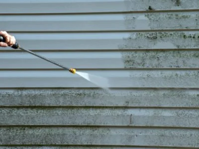 Cleaning the mold from the vinyl siding on this exterior wall is a job for the handyman or the professional.