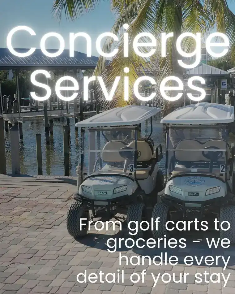 North Captiva Island Experiences